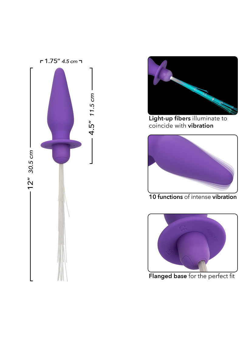 Southern Lights Vibrating Light Up Anal Probe Purple