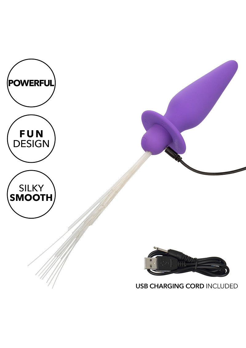 Southern Lights Vibrating Light Up Anal Probe Purple