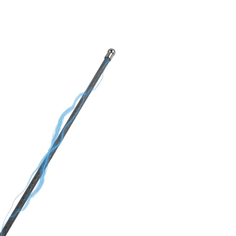 Electro Shock Cane by Hidden Desire