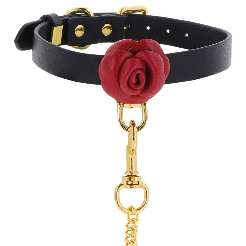 Taboom Wild Roses Collar & Leash