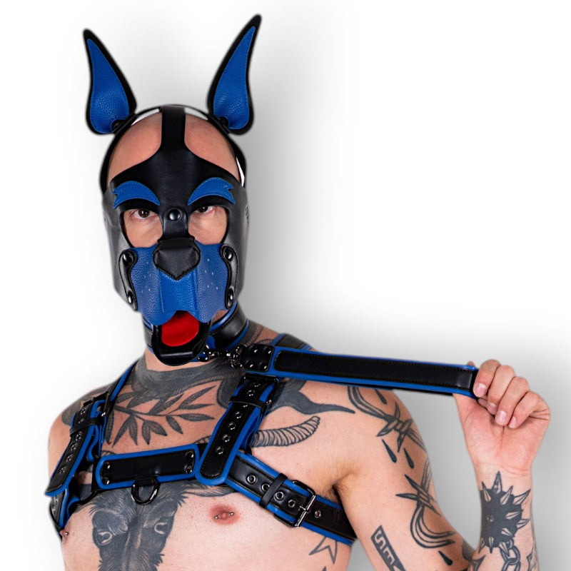 Dog Mask - Blue