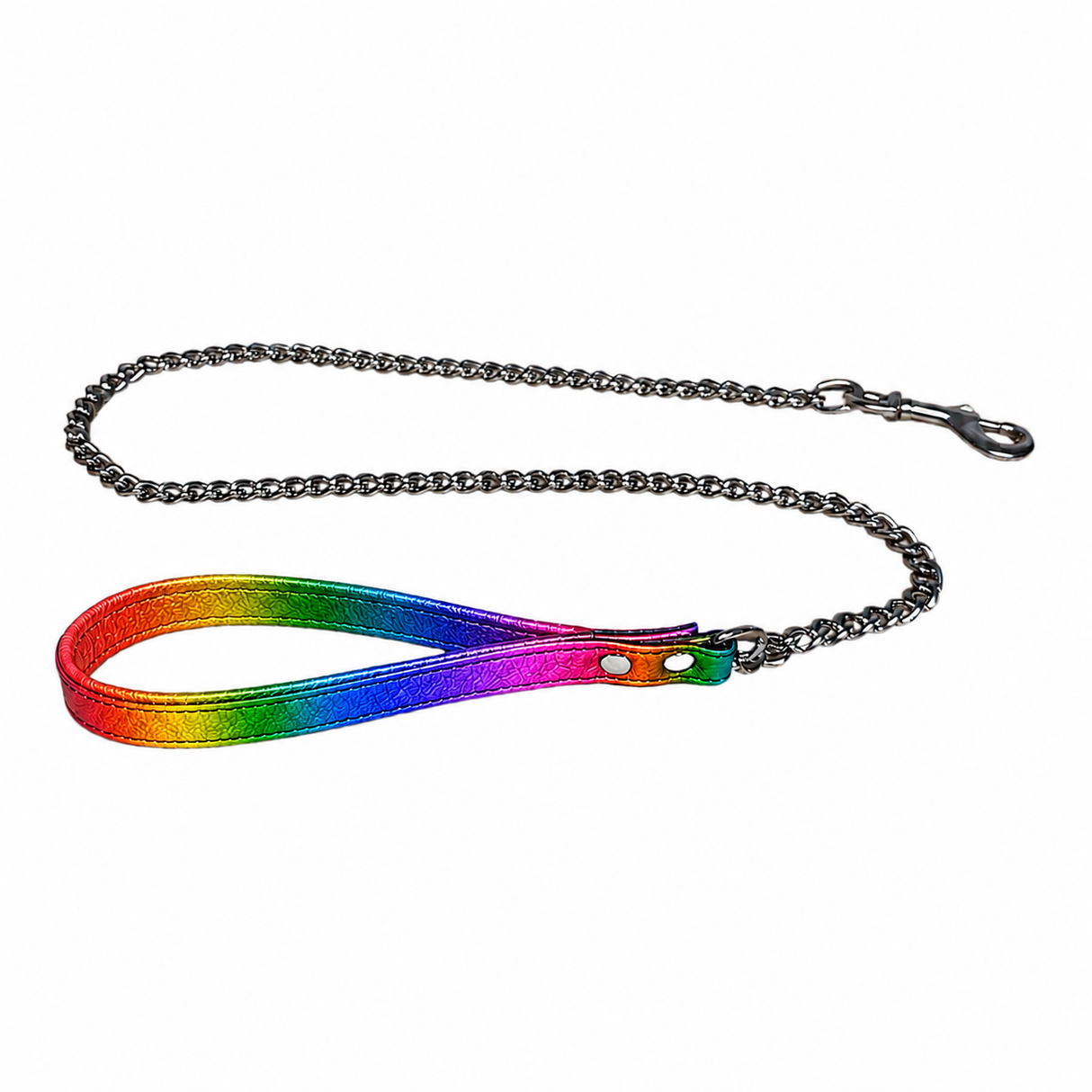 Leather Slave Lead Rainbow-M2O