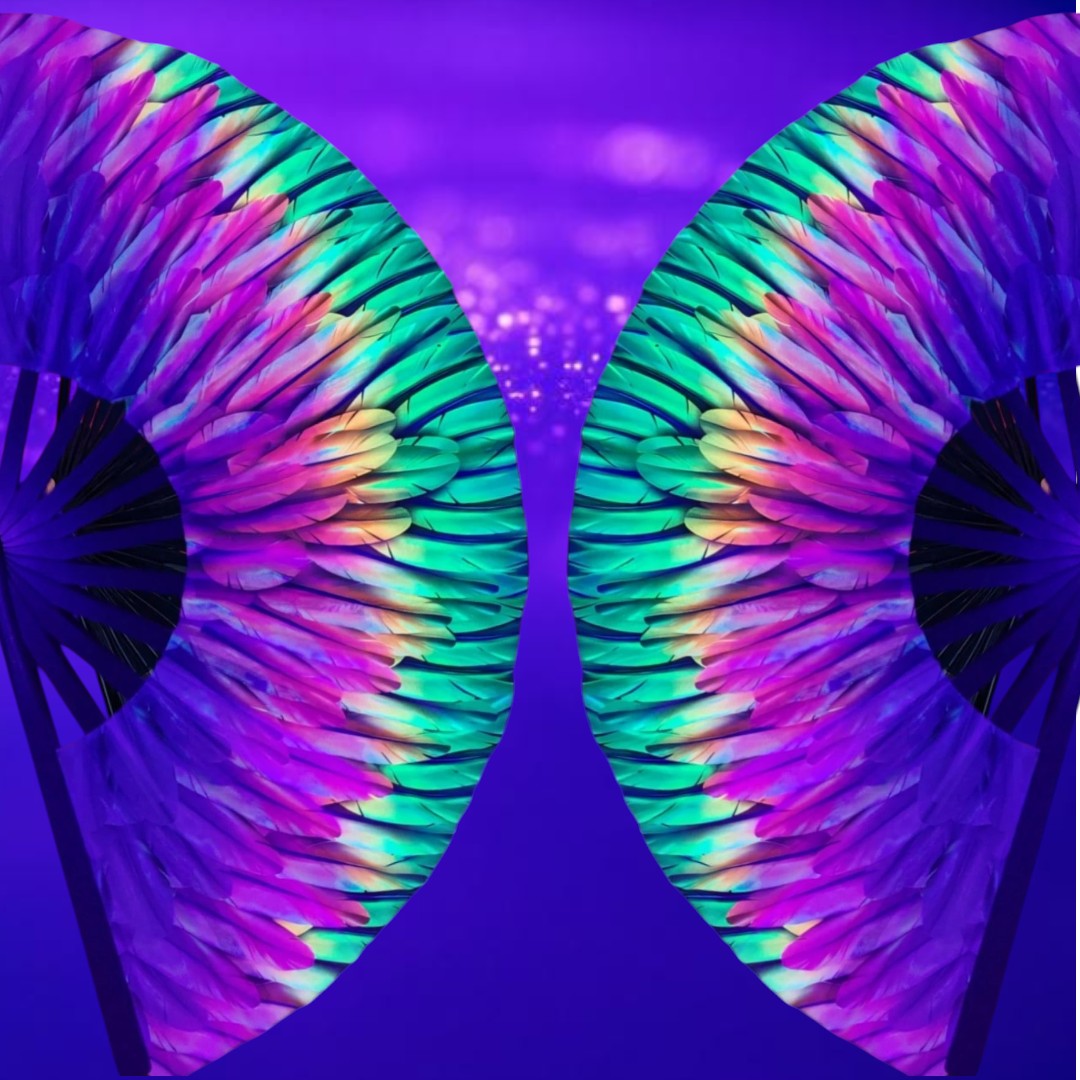 Fabulous Feathers Fan