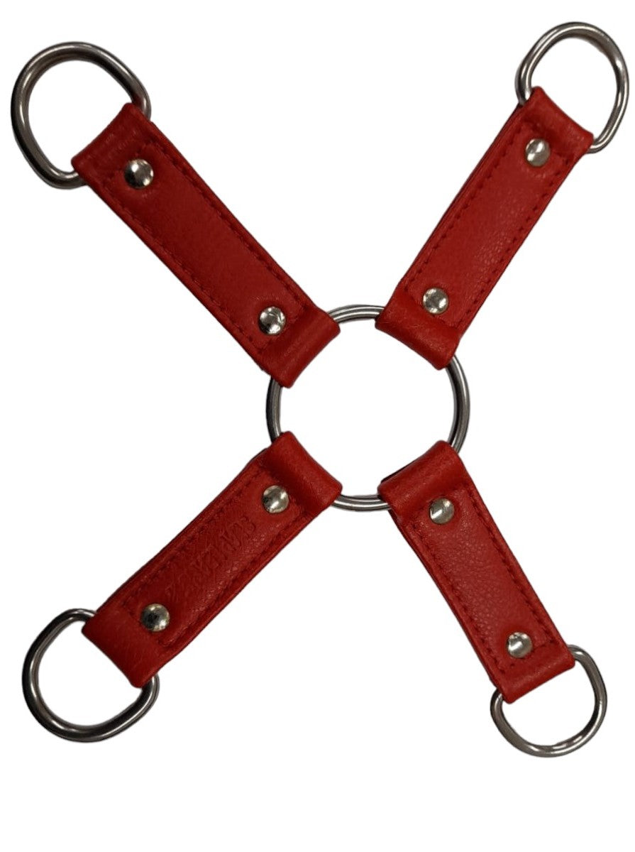 Four Strap D Ring Tether Red