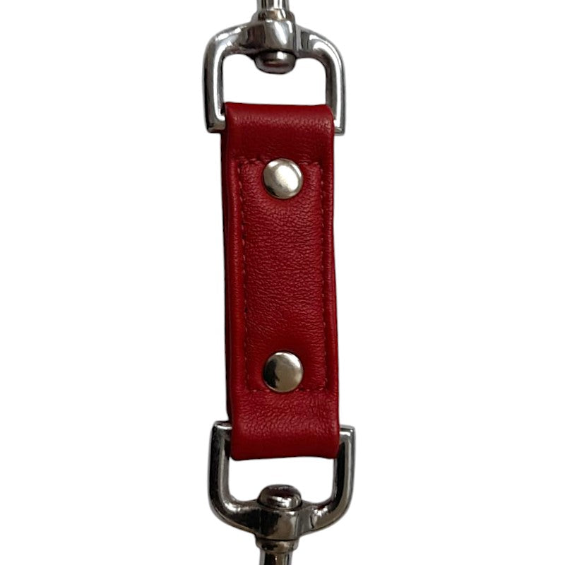 One Strap Two Clip Tether Red