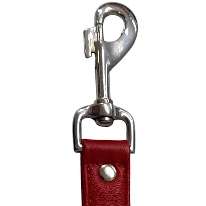 One Strap Two Clip Tether Red