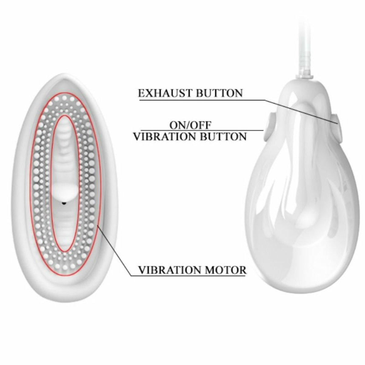 Pretty Love Flirtation-Suction And Stimulation-Passionate Lover