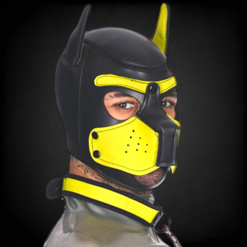 Puppy Hood & Collar