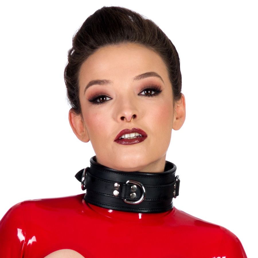 65mm Collar with 3X D-Ring Padded & Black Leather Lined