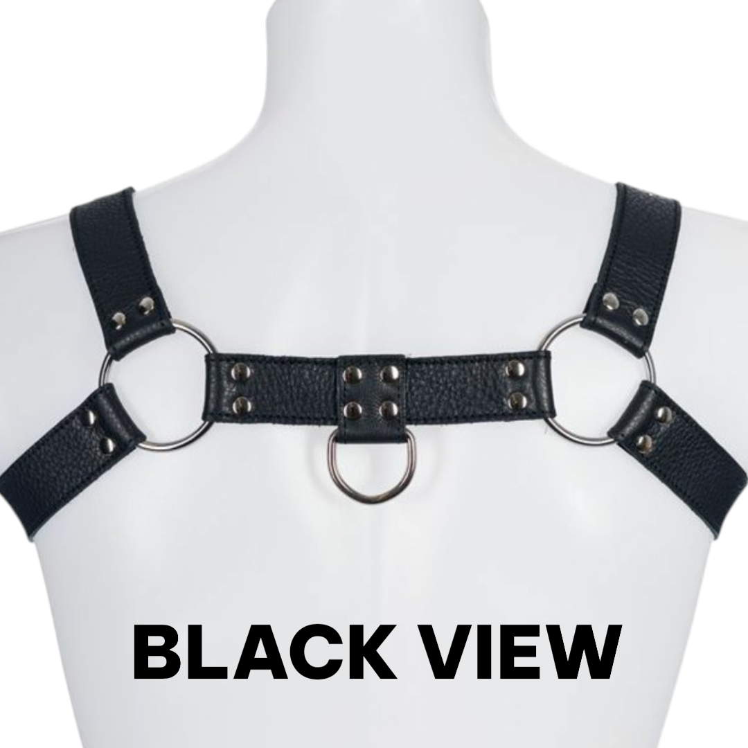 Soft Leather Male Upper Body Bull Dog MTO