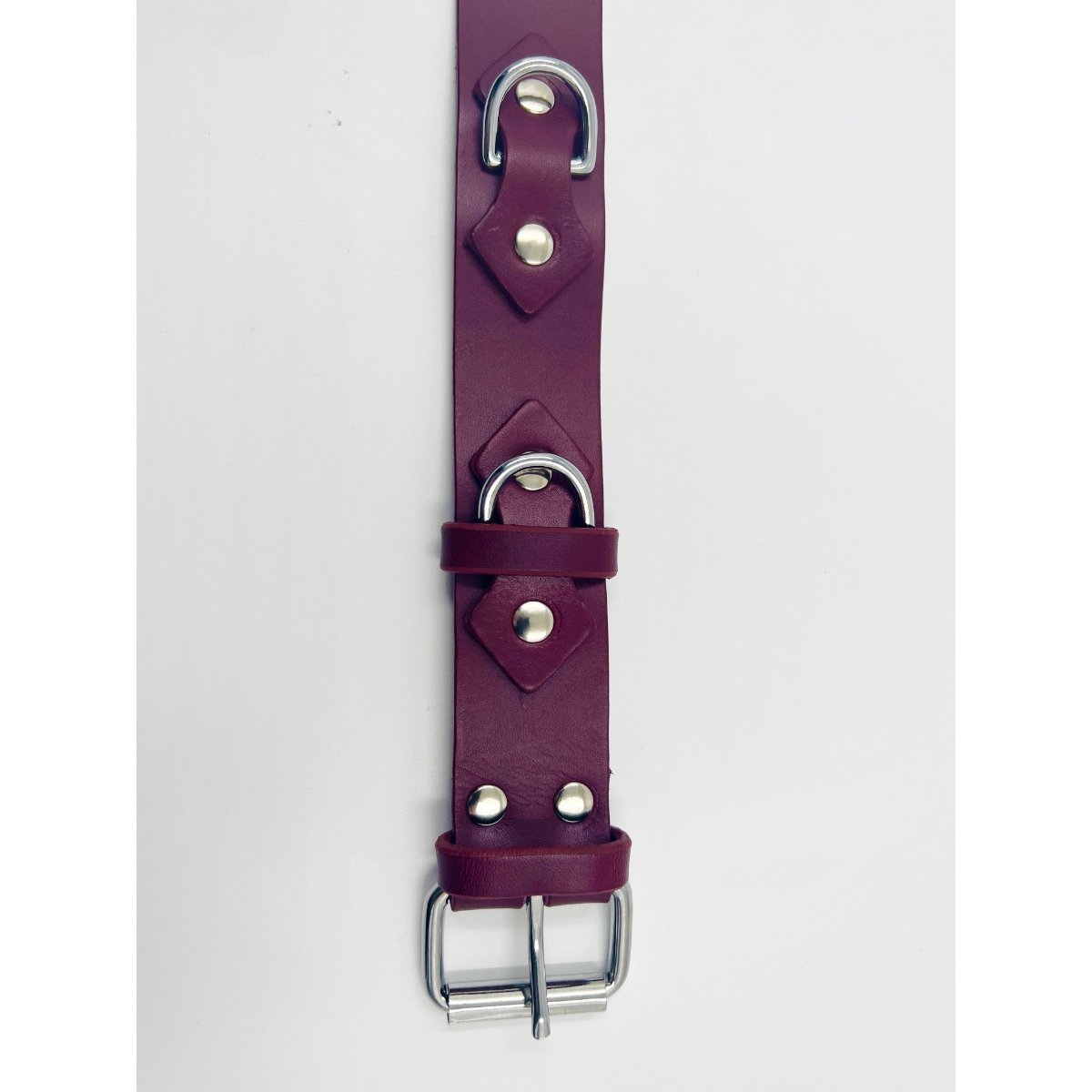 38mm Wide Strap Neck Collar With D Ring-Unlined Raw (M2O)