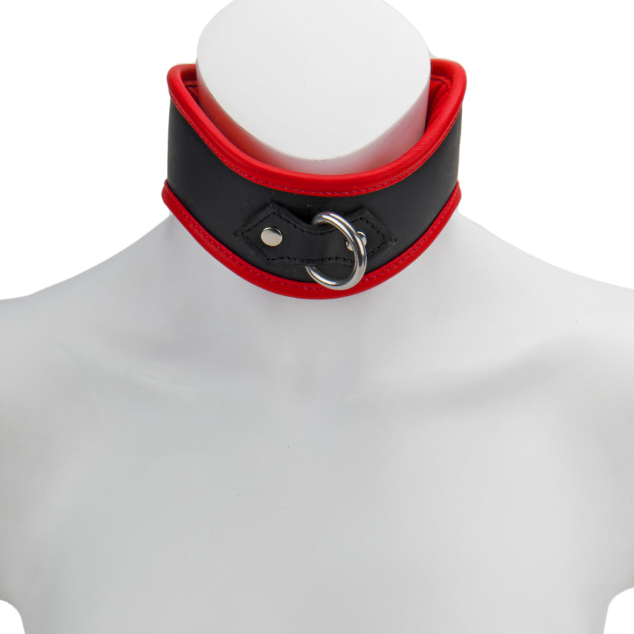 Curved D-Ring Collar M/L Padded & Red Leather Lined