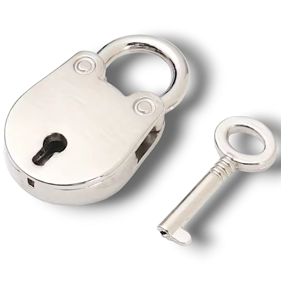 Metallic Leather Spikes & Padlock Collar Padded & Leather Lined