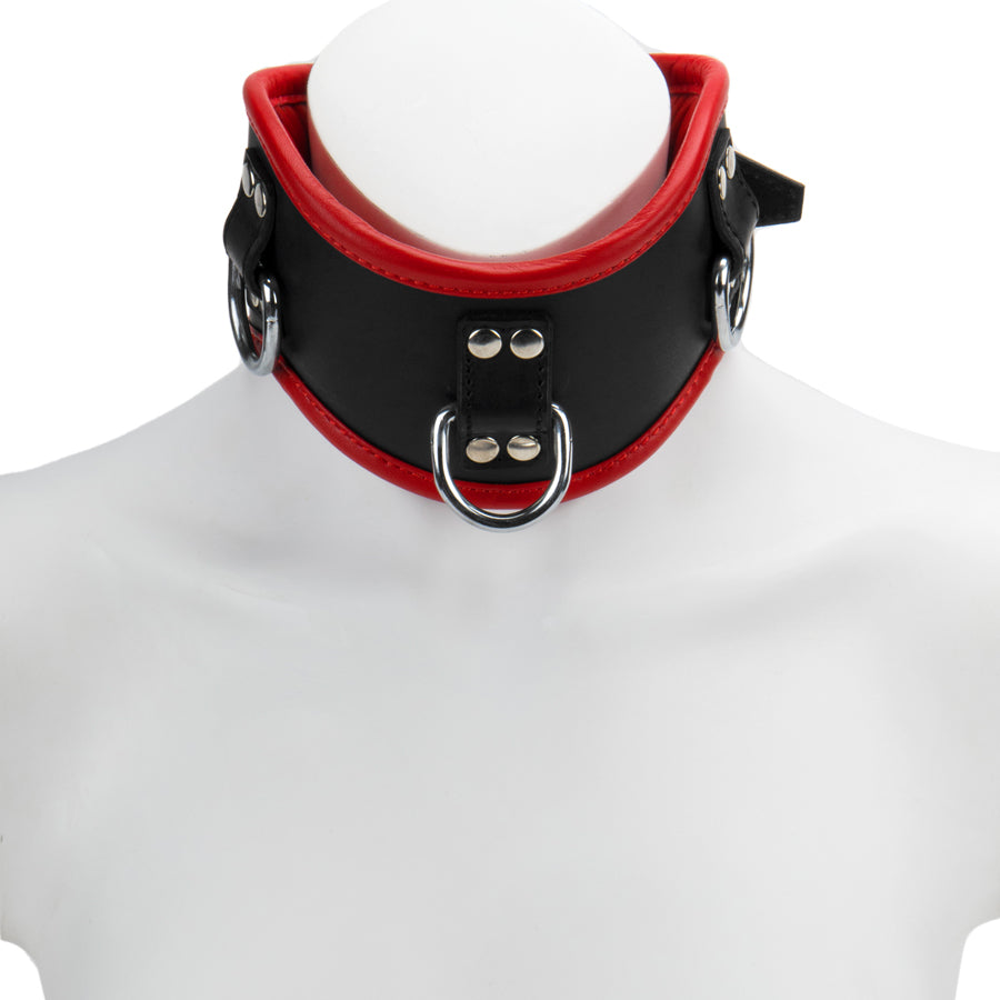 Posture Collar S/M Padded & Red Leather Lined