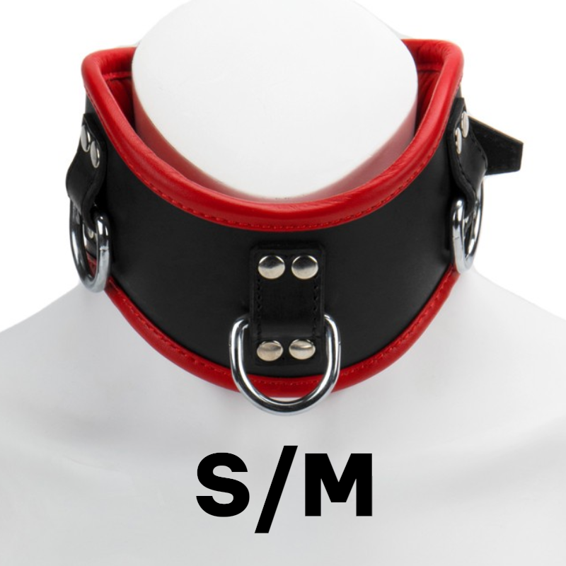 Posture Collar Padded & Red Leather Lined