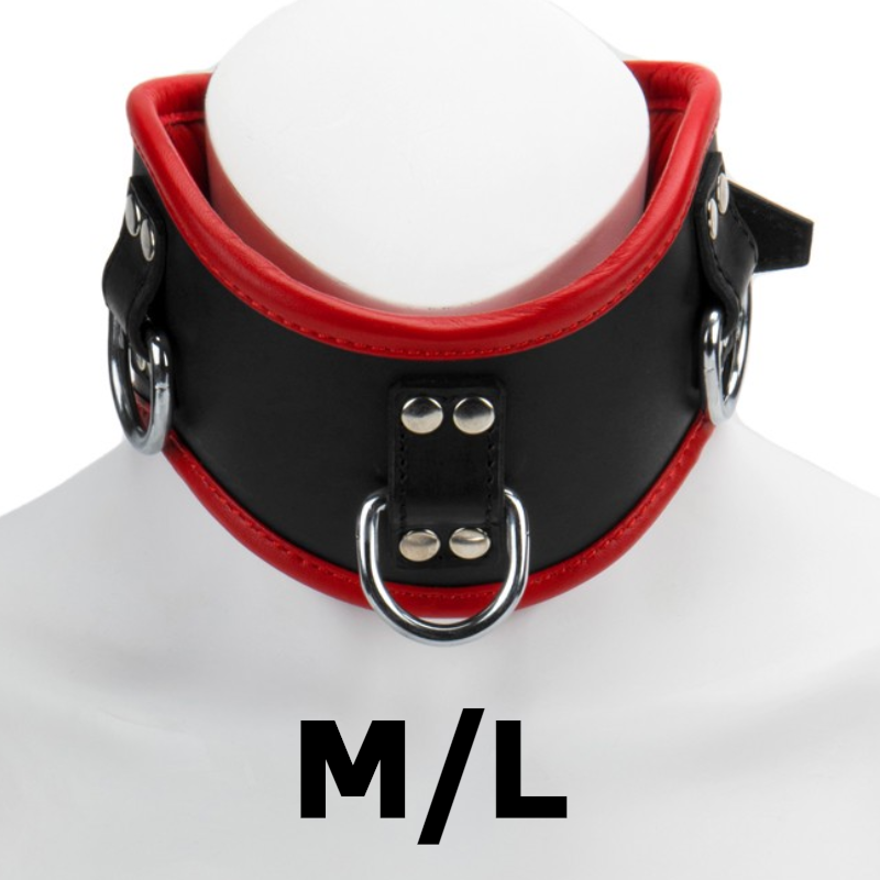 Posture Collar Padded & Red Leather Lined