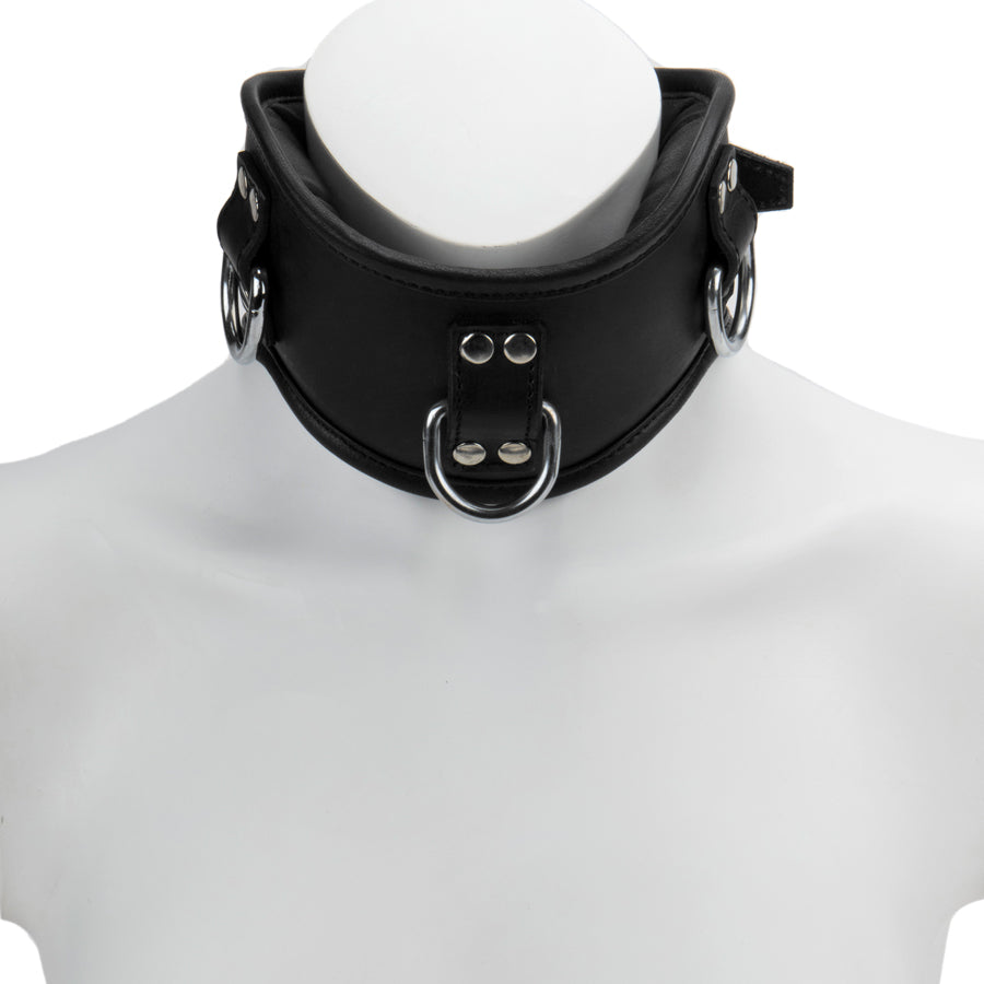Posture Collar M/L Padded & Black Leather Lined