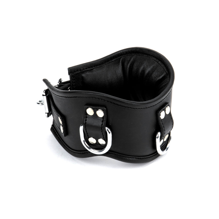 Posture Collar M/L Padded & Black Leather Lined