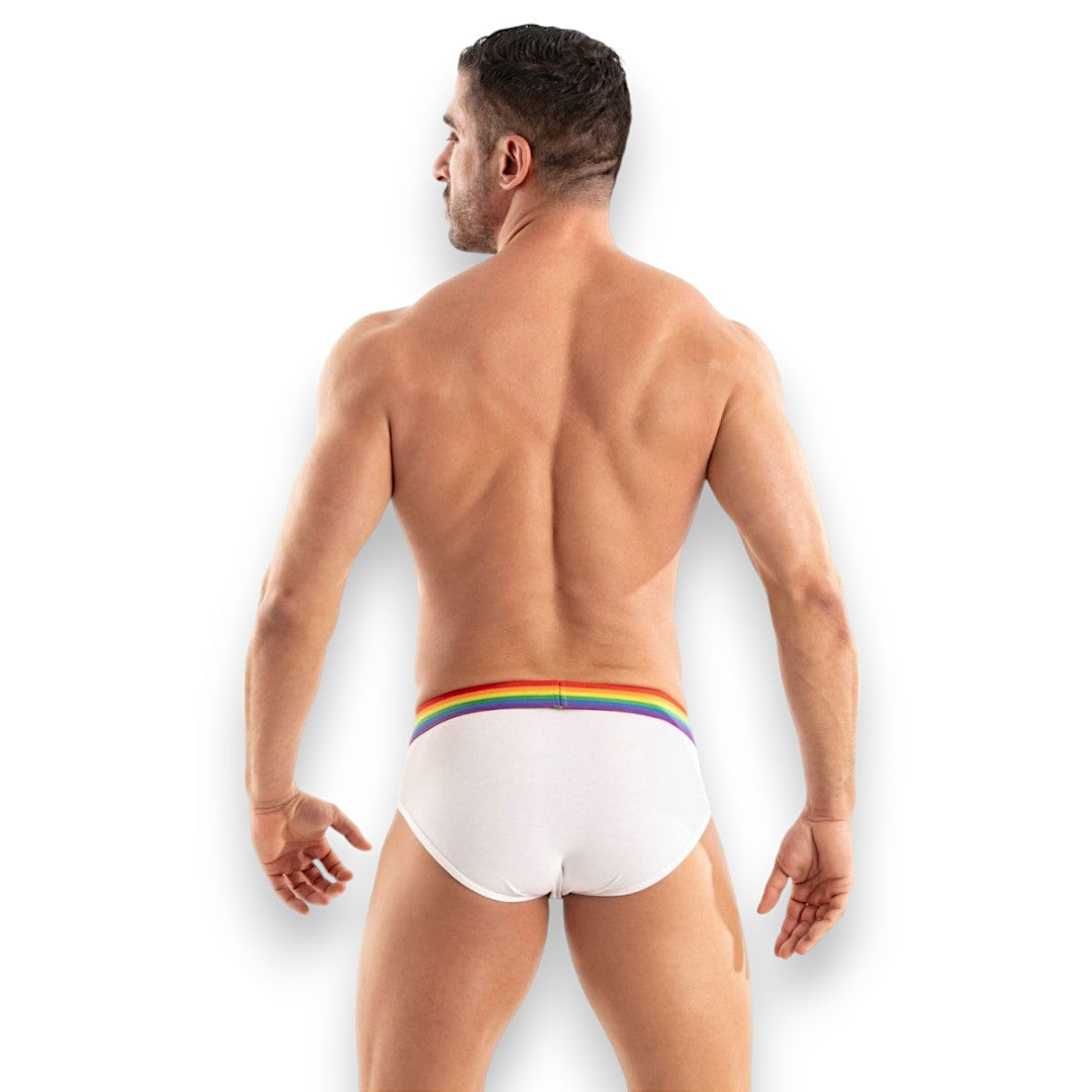 TOF Pride Briefs