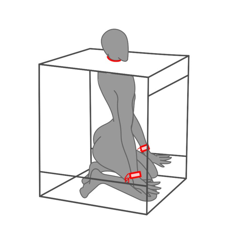Secret Dome Bukkake Bondage Box Red