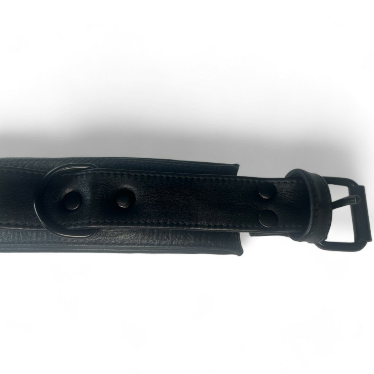 Soft Leather 65mm Wing Collar M2O
