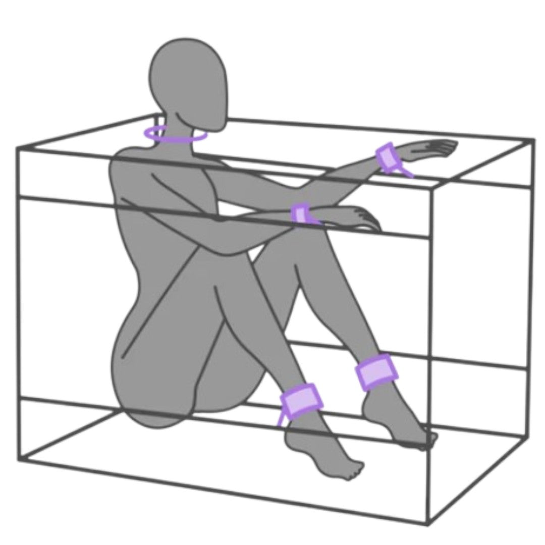 Secret Dome La Niche Bondage Box Purple