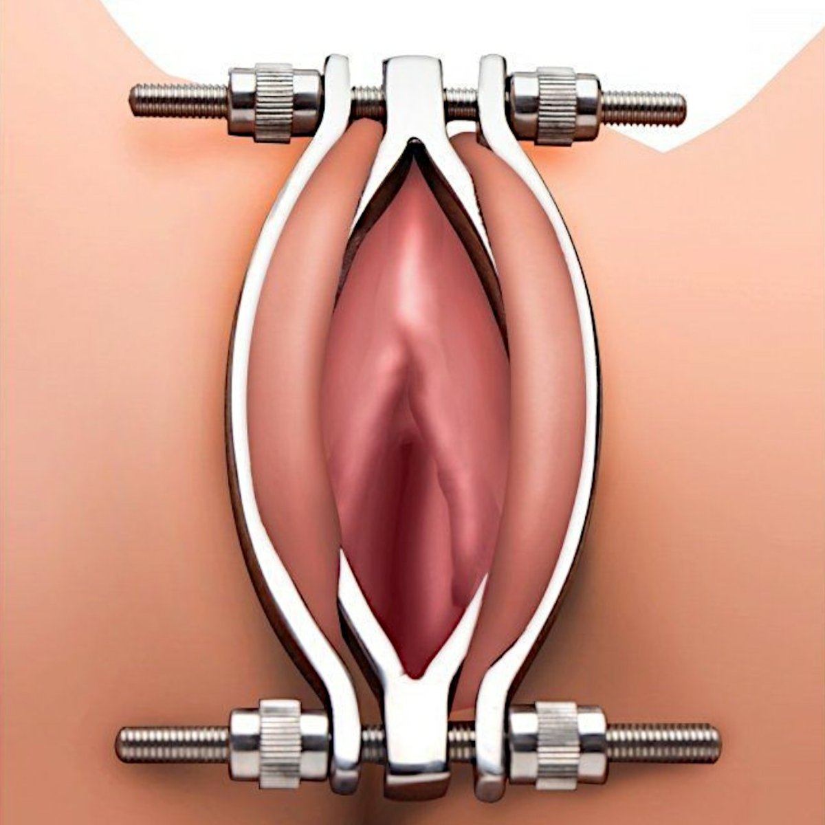 Steel Pussy Clamp