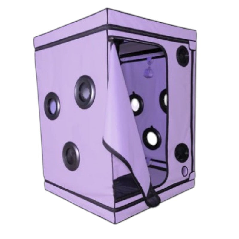 Secret Dome Scandale Giant Bondage Box Purple