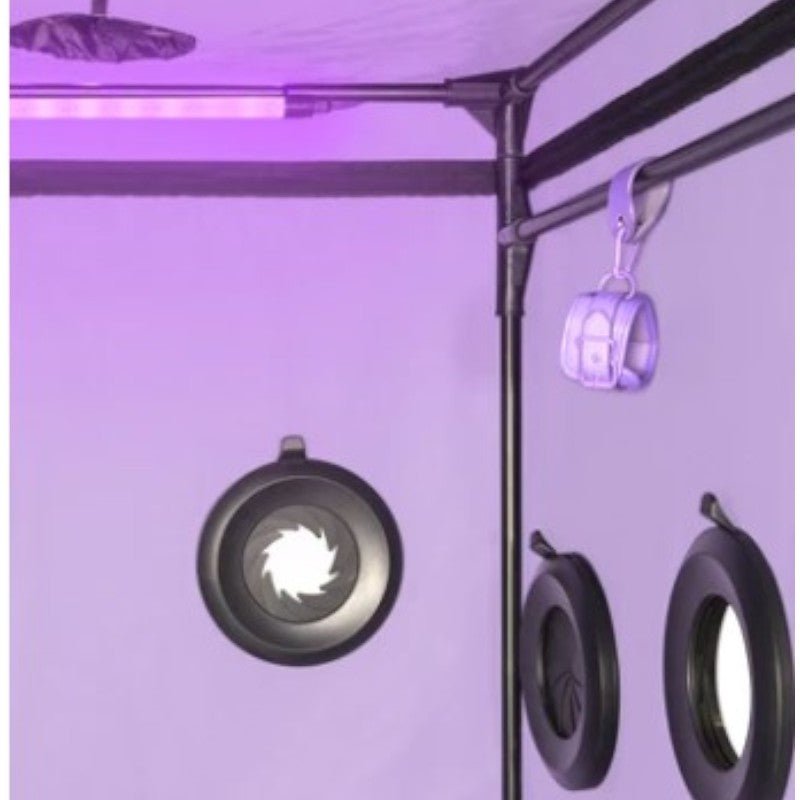 Secret Dome Scandale Giant Bondage Box Purple