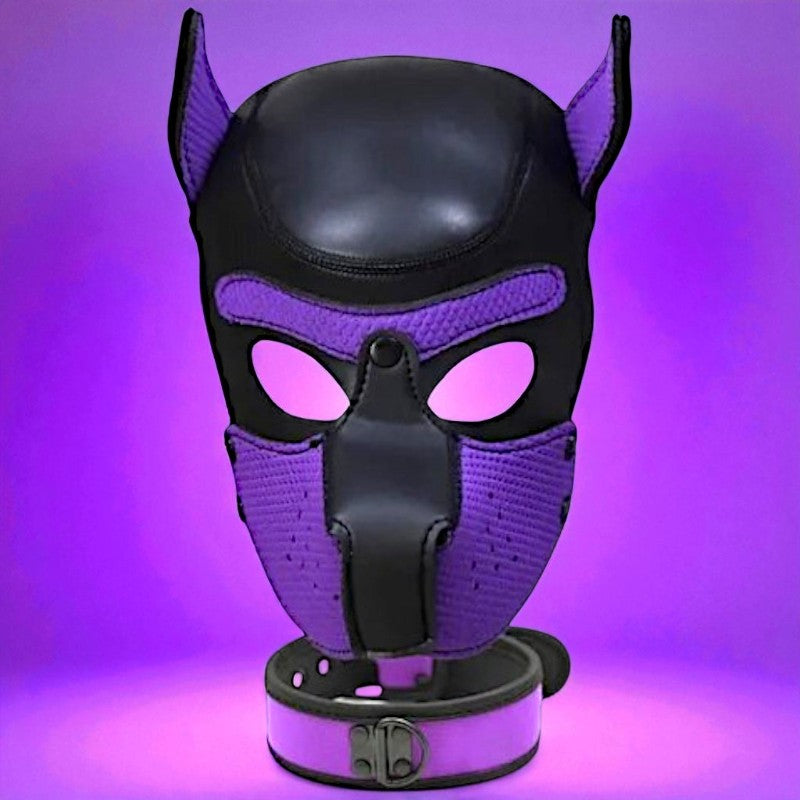 Puppy Hood & Collar Purple