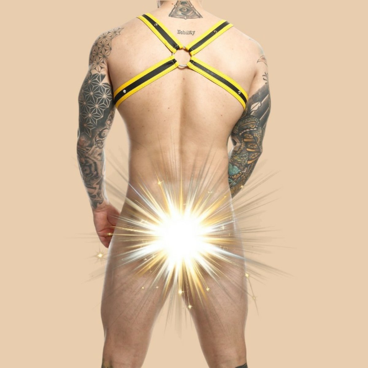 Dngeon Cross Cockring Harness