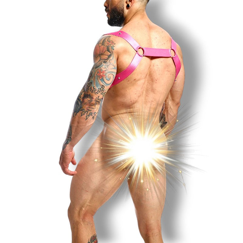 DNGEON Straight Back Harness Pink