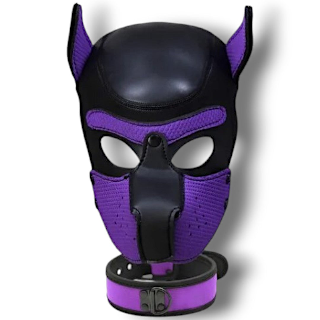 Puppy Hood & Collar Purple