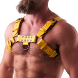 Leather Chest Harness