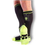 Brutus Puppy Party Socks w Pockets Black Neon Yellow
