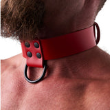 Leather Collar