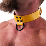Leather Collar