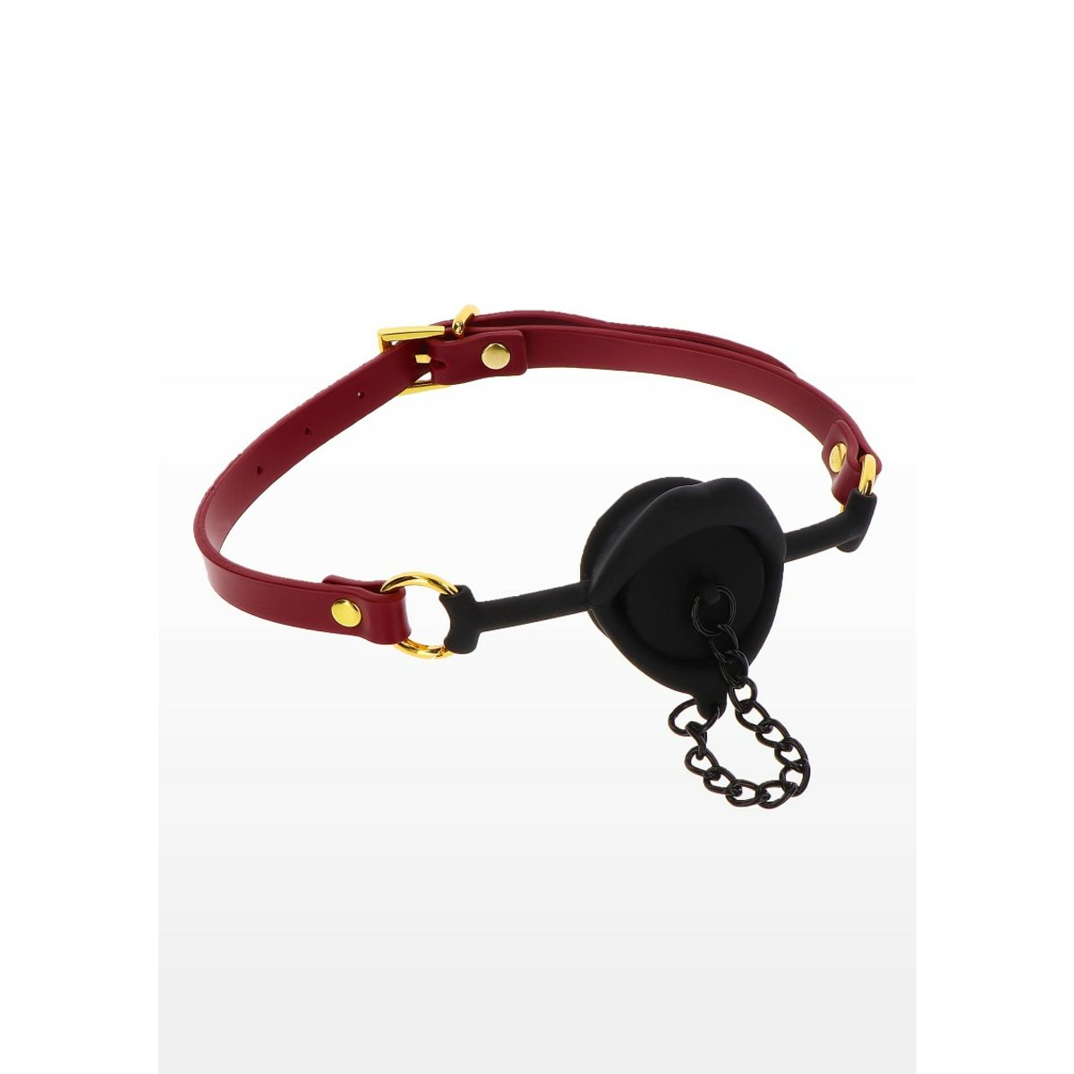 Kinky Gag With Plug
