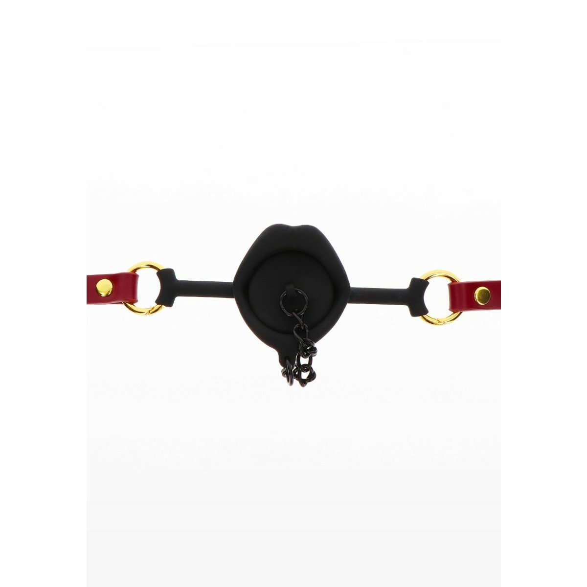 Kinky Gag With Plug