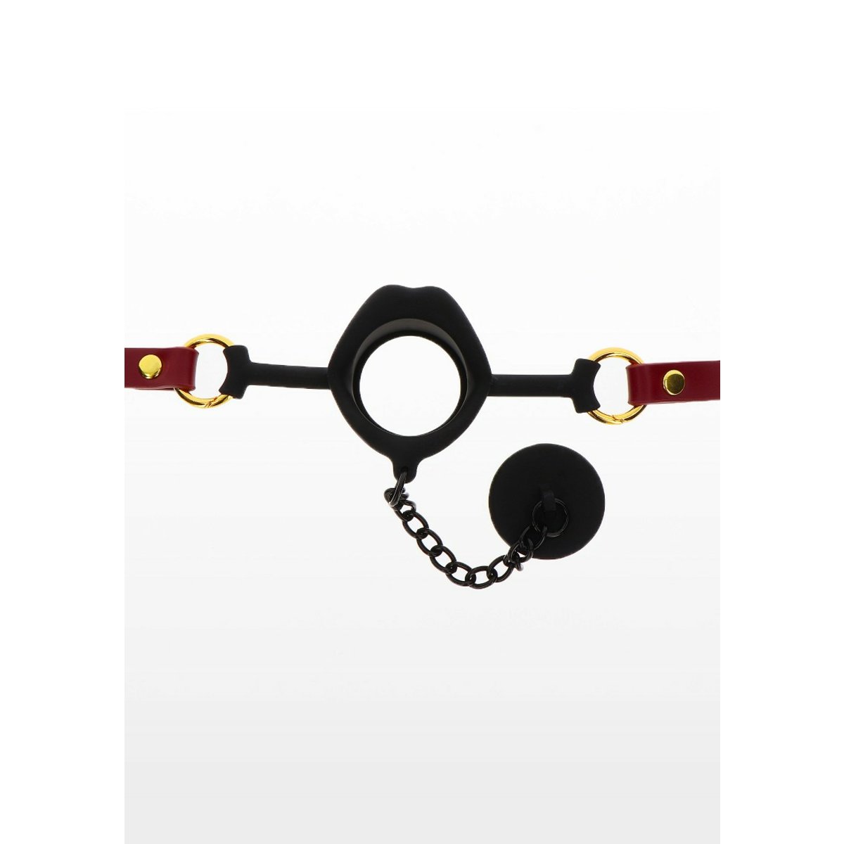 Kinky Gag With Plug