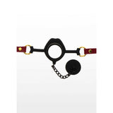 Kinky Gag With Plug