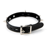 17mm Lrg Collar w/ Spikes & Ring- Suede Lined BLK/BLK