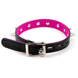 17mm Collar W/ Spikes-Suede Lined