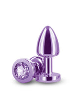 Rear Assests Petitte Purple