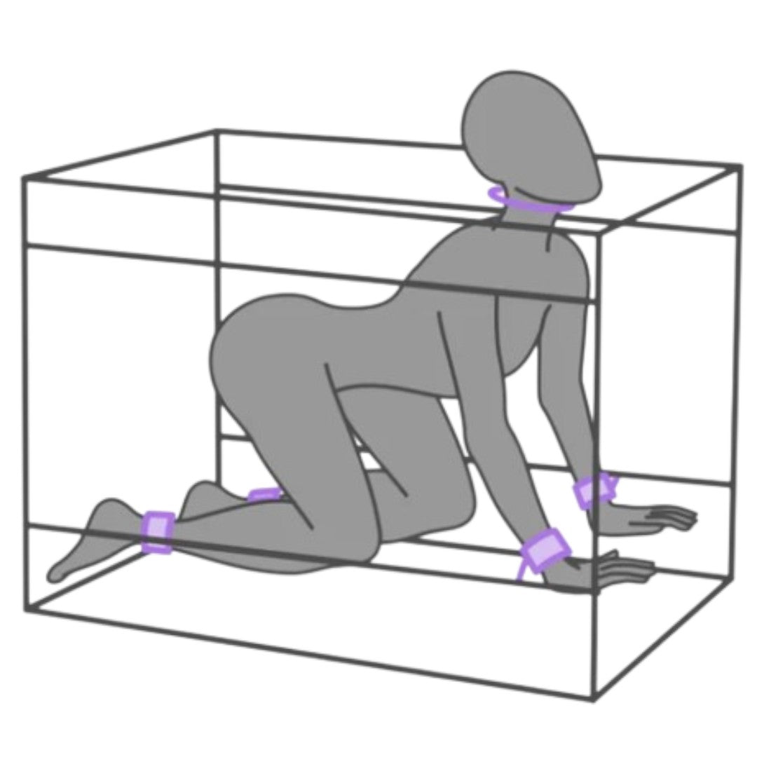 Secret Dome La Niche Bondage Box Purple