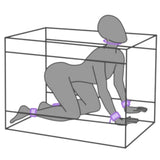 Secret Dome La Niche Bondage Box Purple