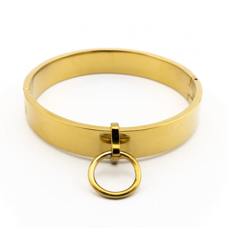 Golden Steel Slave Collar