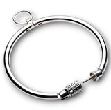 Steel Collar With Combination Lock-Steel