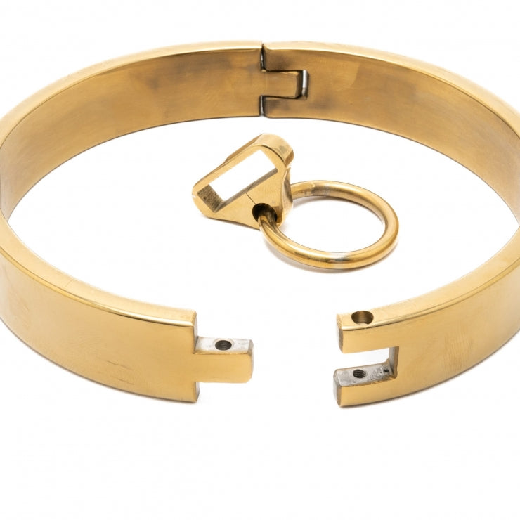 Golden Steel Slave Collar