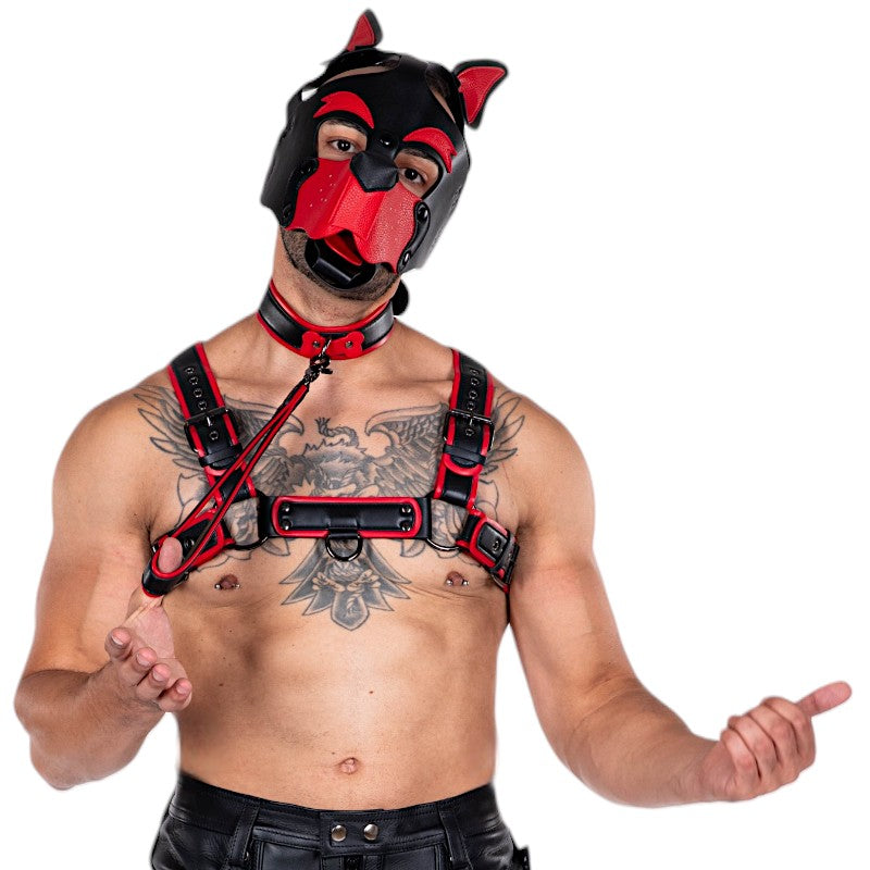 Dog Mask - Red